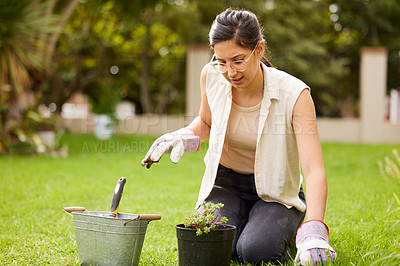 Buy stock photo Gardening, tools and woman with pot plant in backyard for natural environment, growth and ecosystem. Nature, gardener and person planting flowers, trees and sprout for sustainability and agriculture