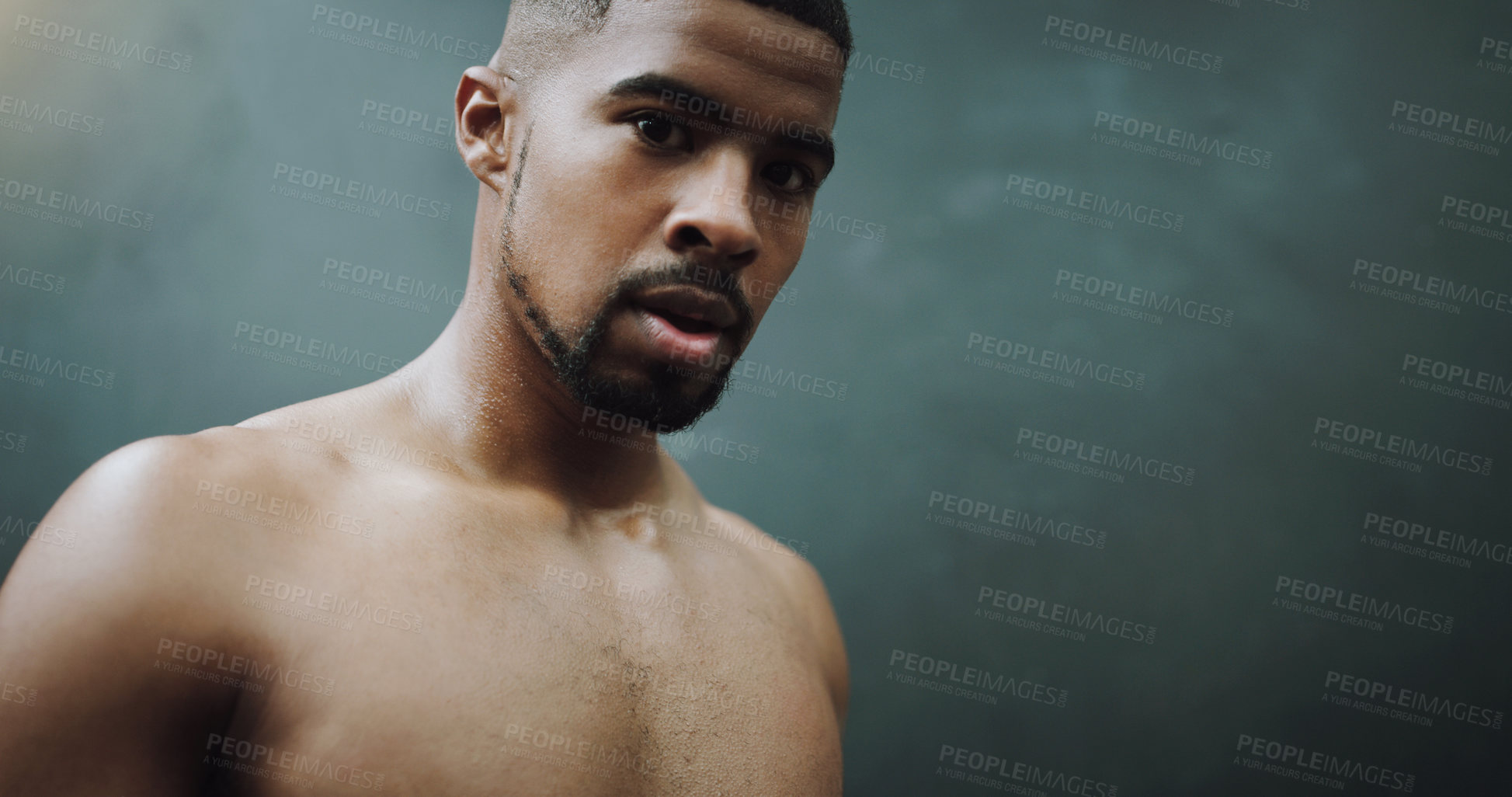 Buy stock photo Wall background, bodybuilder and portrait of man in gym for training, exercise and cardio workout. Fitness, muscles and serious male person in sports center for challenge, wellness and body strength