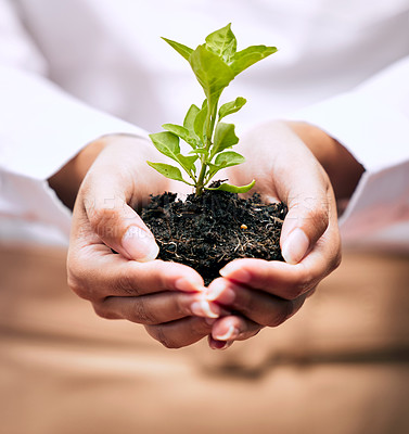 Buy stock photo Plant, growth and woman hands in sustainability, green startup and eco friendly investment, agro ngo or business. Sapling, soil and person palm in sustainable career, gardening or earth day project
