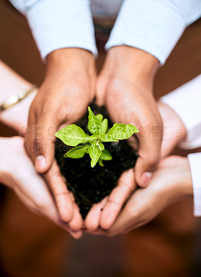 Buy stock photo Plants, hands above and business people for eco friendly growth, sustainability support and agriculture teamwork. Sapling soil in women, men or group palm of sustainable garden, green project or ngo