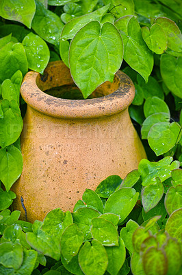 Buy stock photo Closeup of a used clay pot plant for greenhouse gardening. Lush green leaves and overgrown garden background with copy space. Texture detail on ceramic flower holder in a home backyard n spring