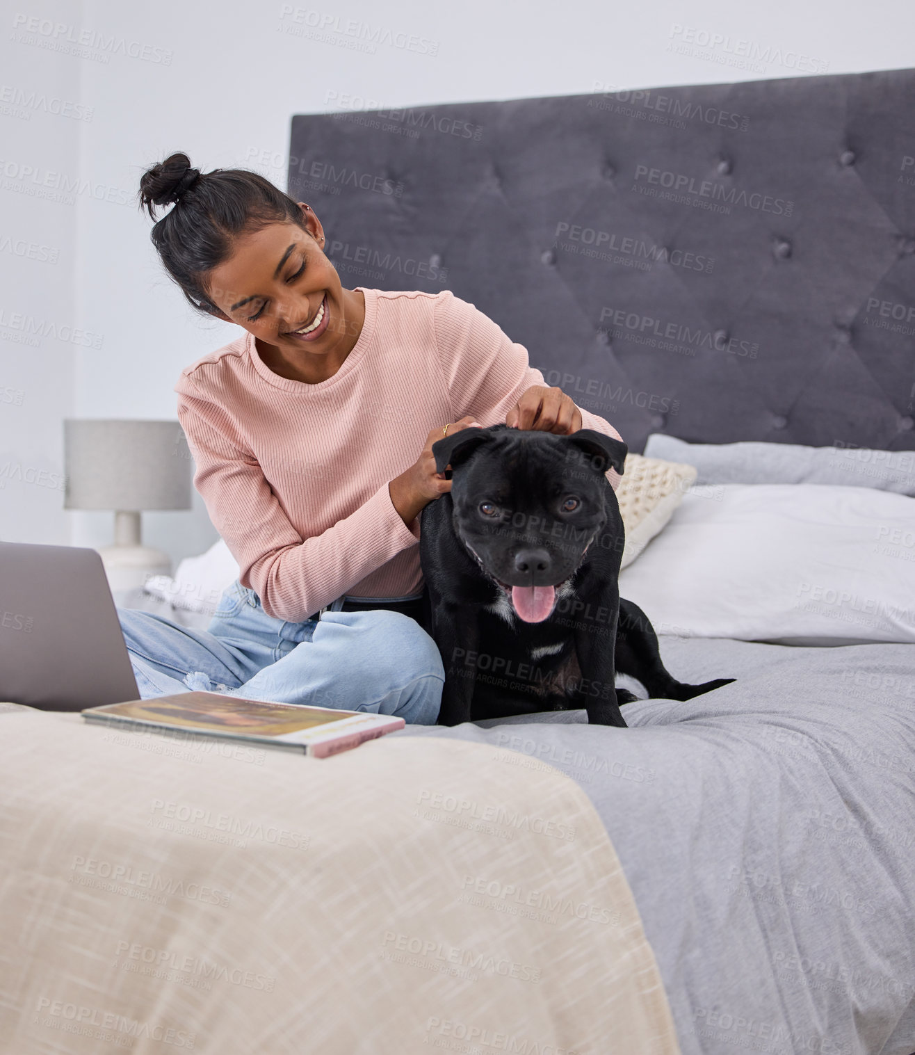 Buy stock photo Full length shot of an attractive young woman petting her dog while using her laptop on the bed at home with her dog