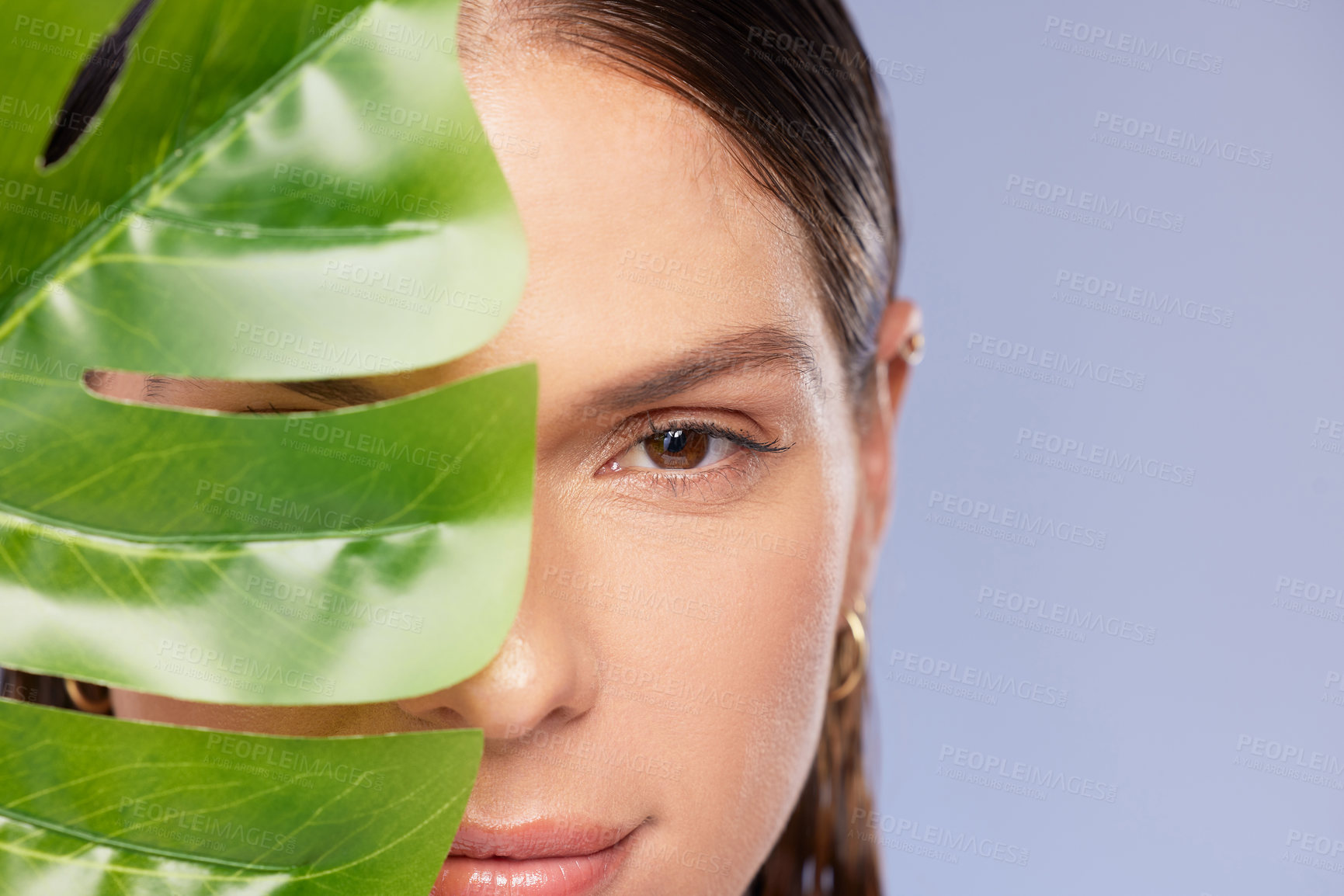 Buy stock photo Skincare, portrait and woman with palm leaf in studio for natural beauty, wellness and eco friendly cosmetics on purple background. Dermatology, face and model with monstera, plant or vegan product