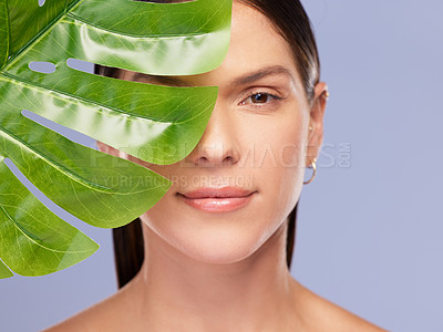 Buy stock photo Skincare, portrait and girl with monstera plant in studio for natural beauty, wellness or eco friendly cosmetics on purple background. Dermatology, leaf and woman face model with organic skin product