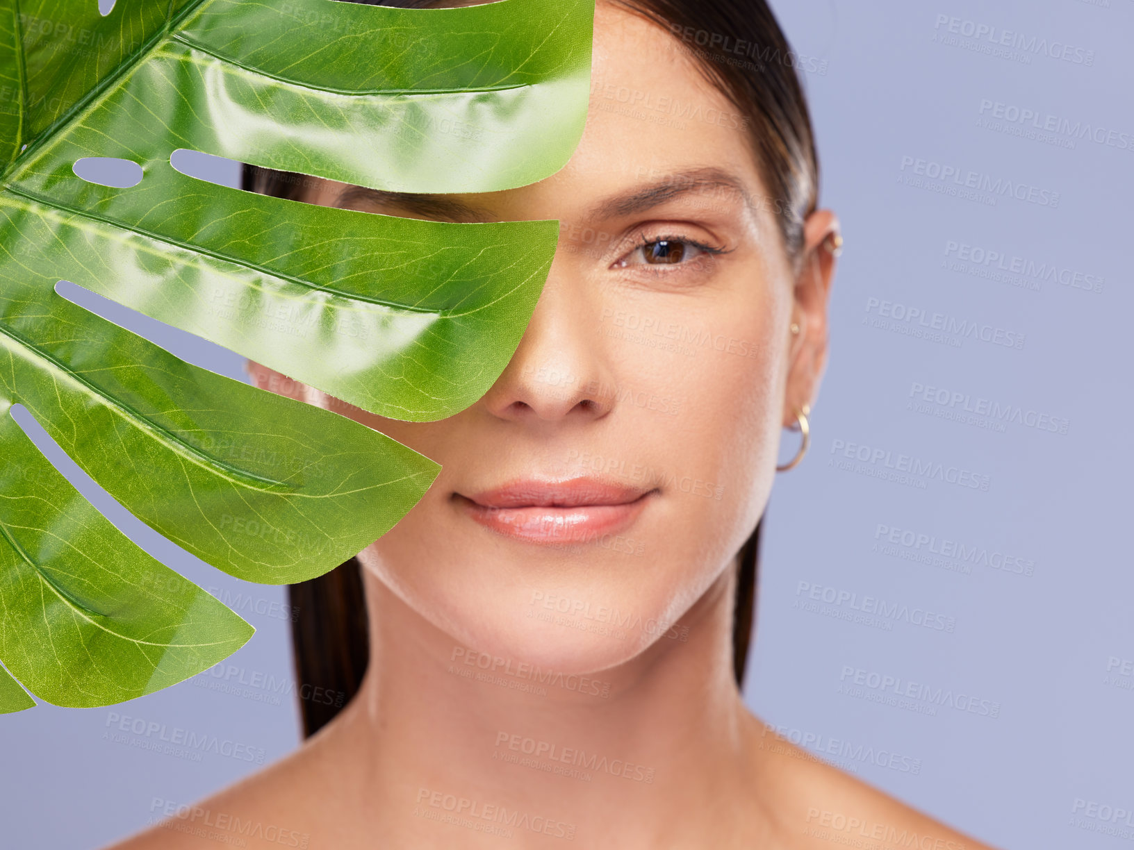 Buy stock photo Skincare, portrait and girl with monstera plant in studio for natural beauty, wellness or eco friendly cosmetics on purple background. Dermatology, leaf and woman face model with organic skin product