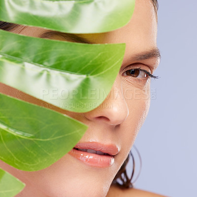 Buy stock photo Woman, half face and leaf for cosmetics in studio, skincare and vegan or organic beauty on blue background. Female person, skin detox and eco friendly or facial treatment, dermatology and plant