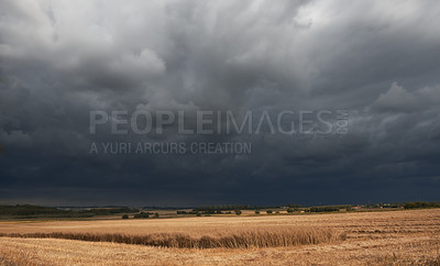 Buy stock photo Landscape view of dark clouds in harvest nature. Grey cloudy sky over dry grassy cold field with autumn colors in the outdoor life. Stormy, overcast weather over a wilderness environment. 