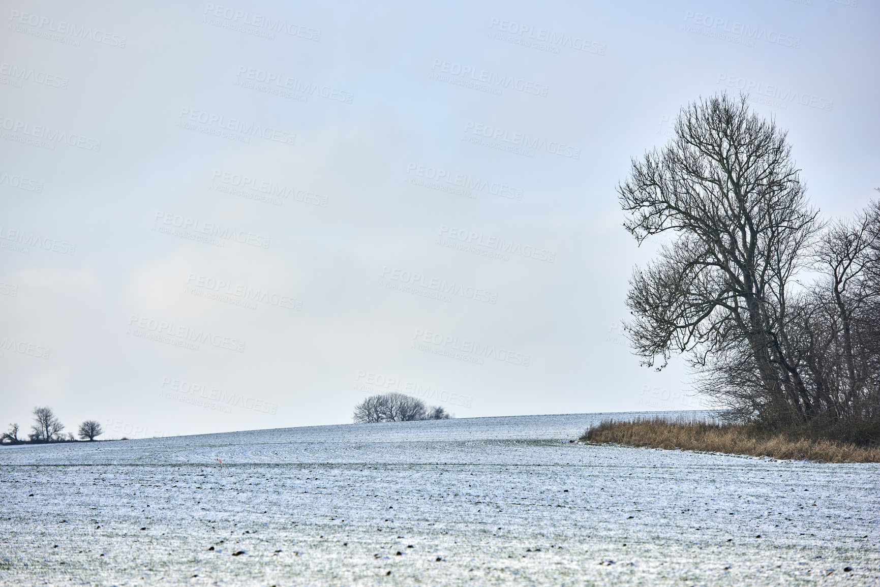 Buy stock photo Danish farmland in wintertime