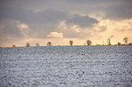 Wintertime in the countryside - Denmark