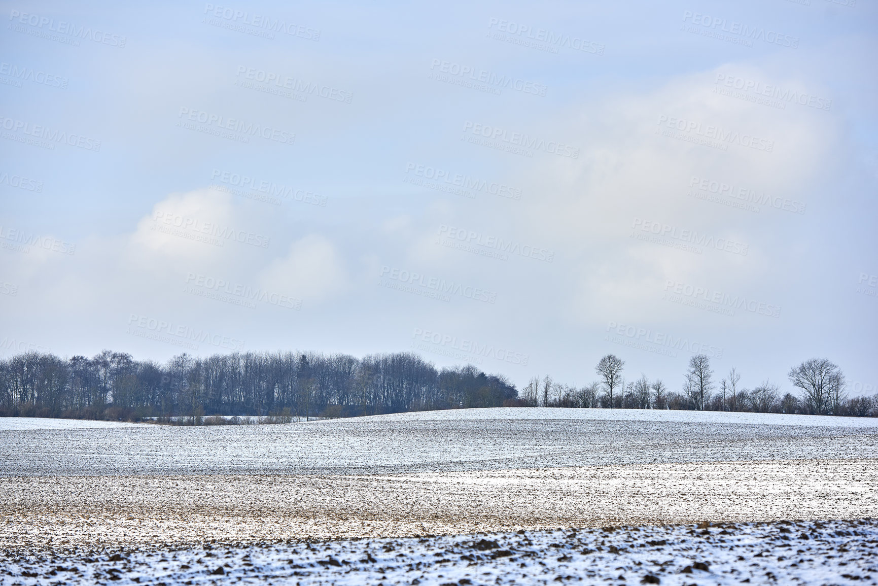 Buy stock photo Open field with snow in winter on a farm with copy space during the day in nature. Landscape of frozen icy grass in a snowy open field and forest trees in the background in the cold countryside