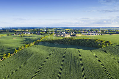 Buy stock photo Drone point of view of farm or countryside estate, green pasture fields and blue sky copy space. Scenic aerial landscape of farming agriculture, trees and residential building houses in remote meadow