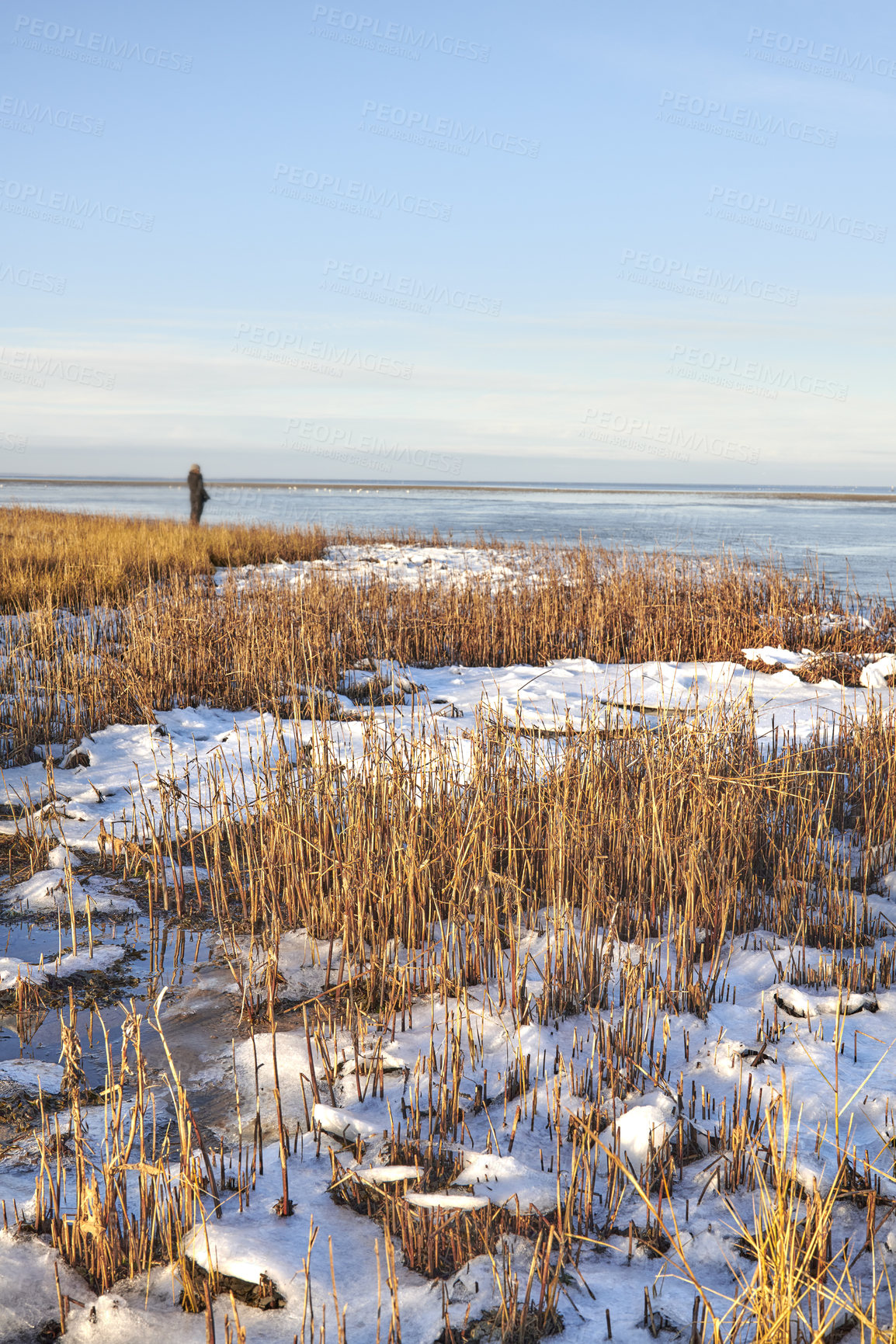 Buy stock photo Photos of Danish winter by the coast of Kattegat.