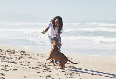 Buy stock photo Shot of a woman playing with her pit bull at the beach