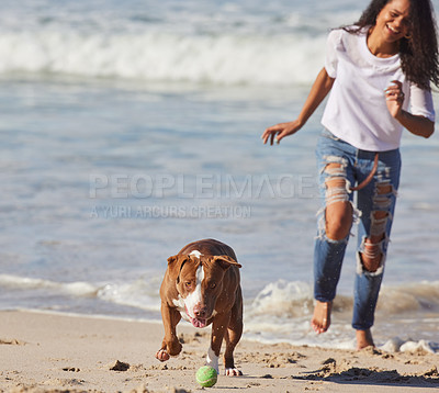 Buy stock photo Beach, woman and dog running with ball for fun exercise, healthy energy or happy animal in nature. Ocean, games and playful pitbull with outdoor training, pet fitness and wellness with morning play