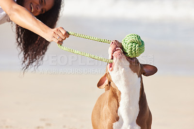 Buy stock photo Beach, woman and dog with toy for game, fun exercise and healthy energy for happy animal in nature. Ocean, bite and playful pitbull with outdoor training, pet fitness and wellness with morning play