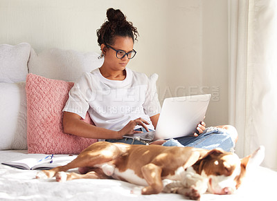 Buy stock photo Shot of a beautiful young woman using a laptop while relaxing with her dog in bed at home