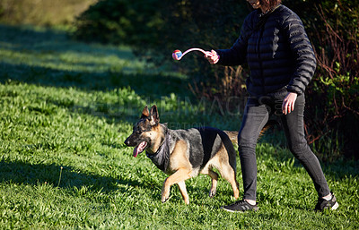 Buy stock photo Shot of an adorable german shepherd being trained by his owner in the park