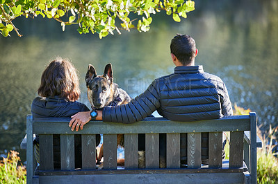 Buy stock photo Rearview shot of a couple sitting on a bench with their dog and looking at the lake