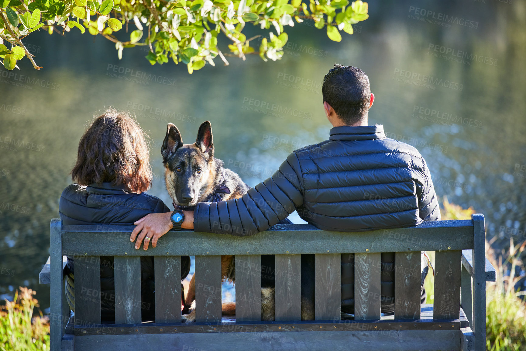 Buy stock photo Rearview shot of a couple sitting on a bench with their dog and looking at the lake