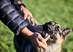 Fooling around makes a happy hound