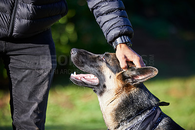 Buy stock photo Pet, best friend and dog with person in park for exercise, training and adventure outdoors. Owner, happy and man with German Shepherd on holiday, vacation and weekend for games, bonding and fun