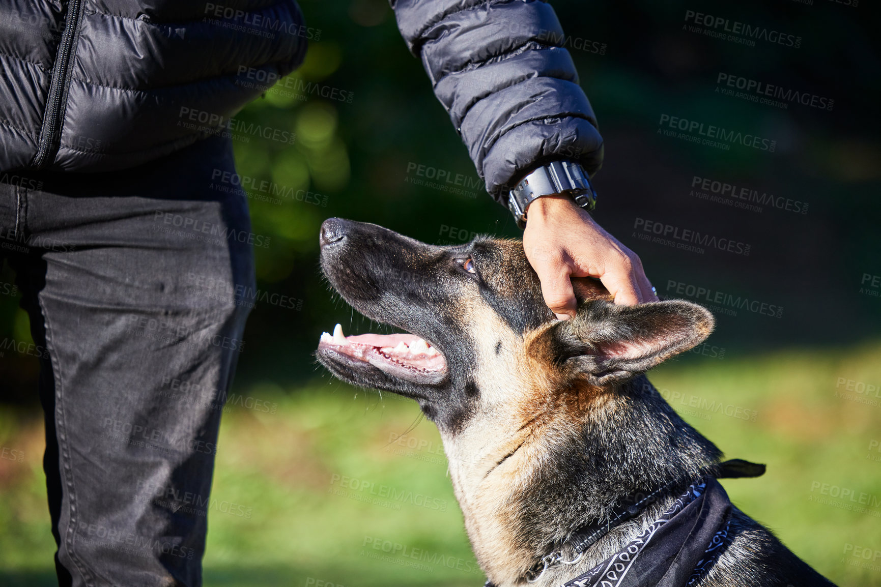 Buy stock photo Pet, best friend and dog with person in park for exercise, training and adventure outdoors. Owner, happy and man with German Shepherd on holiday, vacation and weekend for games, bonding and fun