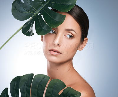 Buy stock photo Shot of a young woman posing behind a plant against a blue background