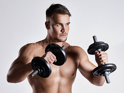 Buy stock photo Shot of a sporty young man working out with dumbbells against a grey background