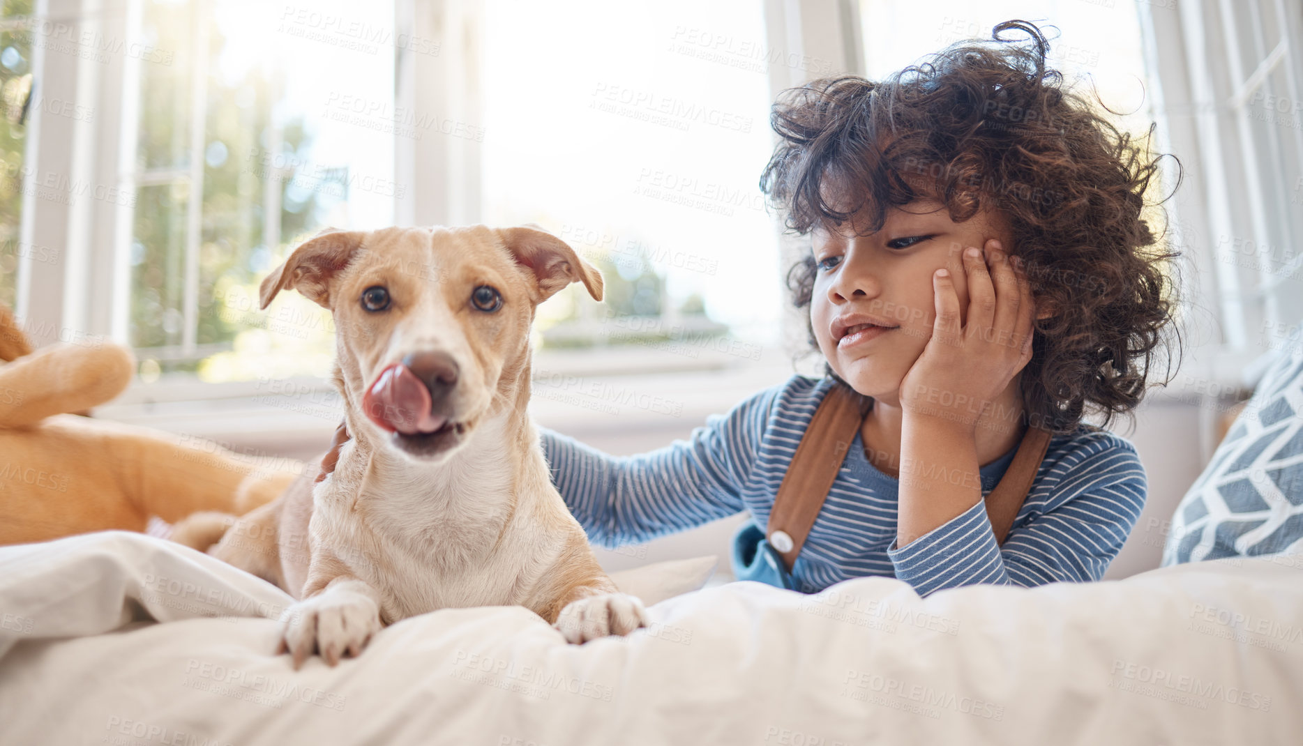 Buy stock photo Shot of an adorable young boy playing with his dog in his bedroom at home