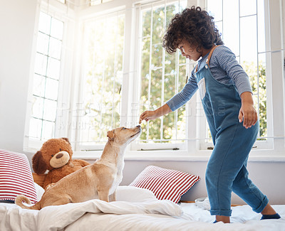 Buy stock photo Shot of an adorable young boy playing with his dog in his bedroom at home