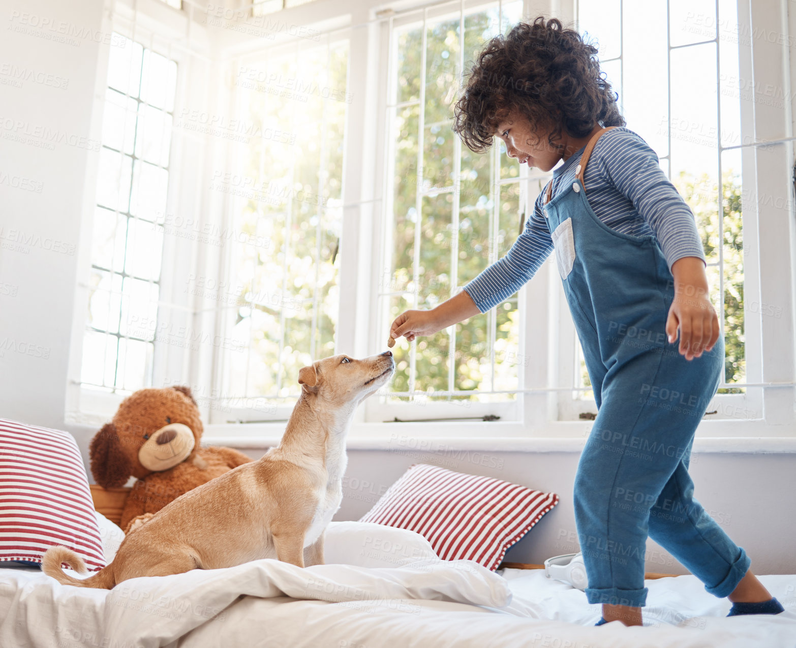 Buy stock photo Shot of an adorable young boy playing with his dog in his bedroom at home