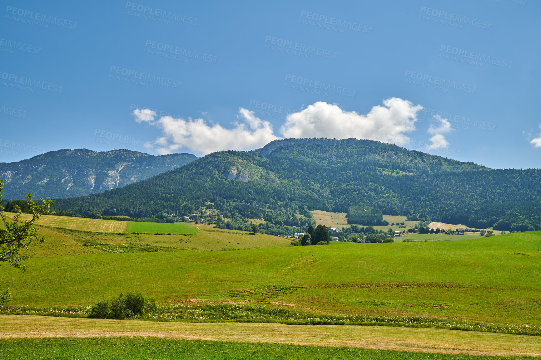 Buy stock photo Farmland with lush meadow and hills or mountains covered with greenery in the countryside. Scenery of a calm empty field in nature. Natural view of open green landscape in the outdoors on a sunny day