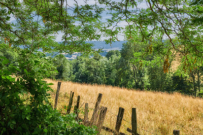 Buy stock photo Overgrown farmland with a fence surrounding a field. Landscape of a sustainable agricultural farm with hay like grass and trees in a green environment with a barb wire barrier in the countryside