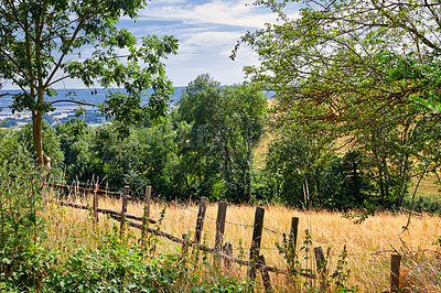 Buy stock photo Farmland with a fence and a blue cloudy sky background. Landscape of a sustainable agriculture farm with hay like grass and trees in a green environment with a barb wire barrier in the countryside