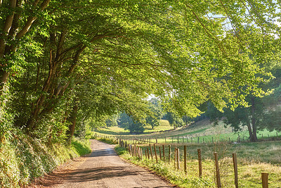 Buy stock photo A countryside dirt road leading to agriculture fields or farm pasture in remote area location with serene and vibrant trees. Landscape view of quiet, lush, green scenery of farming meadows in France