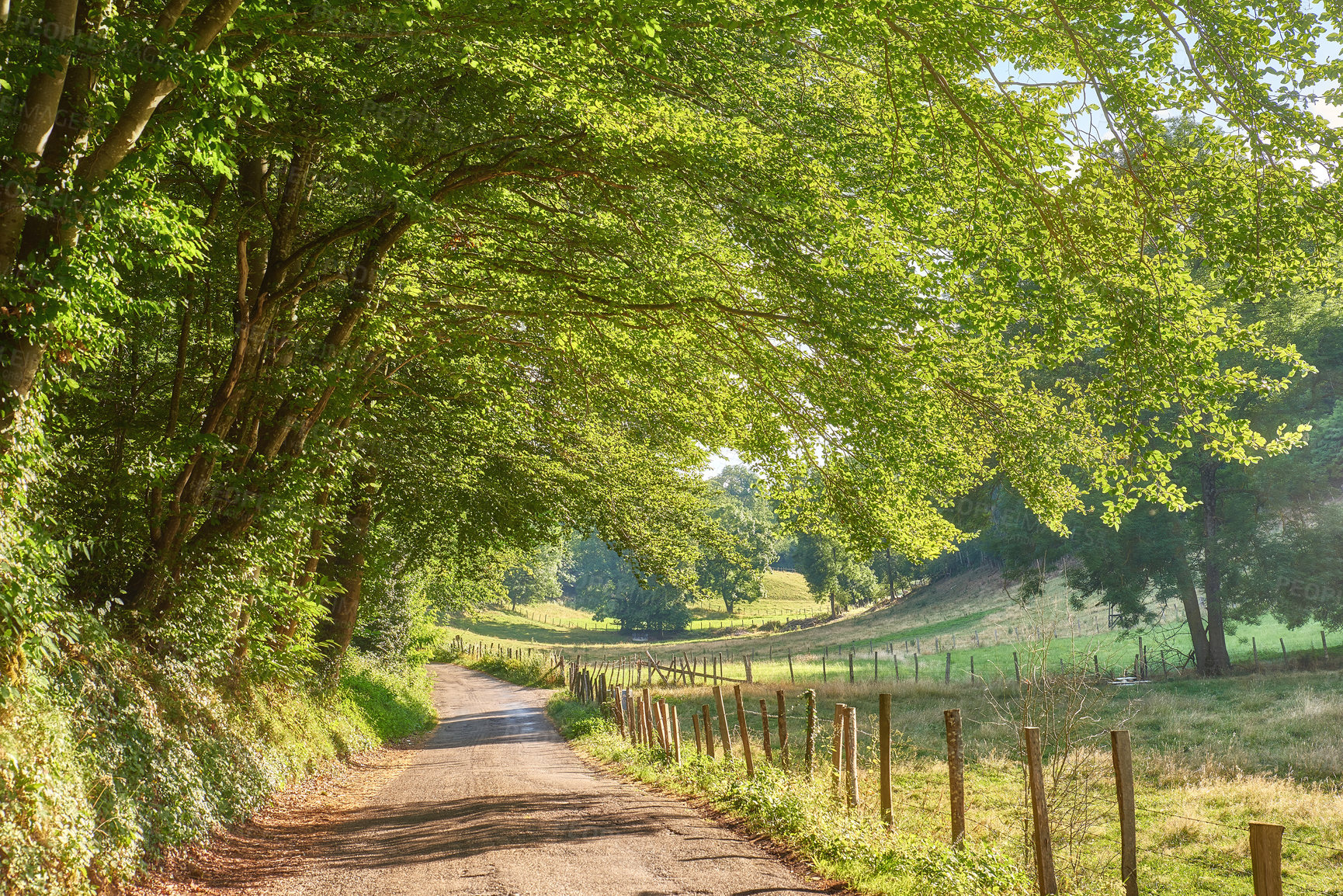 Buy stock photo A countryside dirt road leading to agriculture fields or farm pasture in remote area location with serene and vibrant trees. Landscape view of quiet, lush, green scenery of farming meadows in France