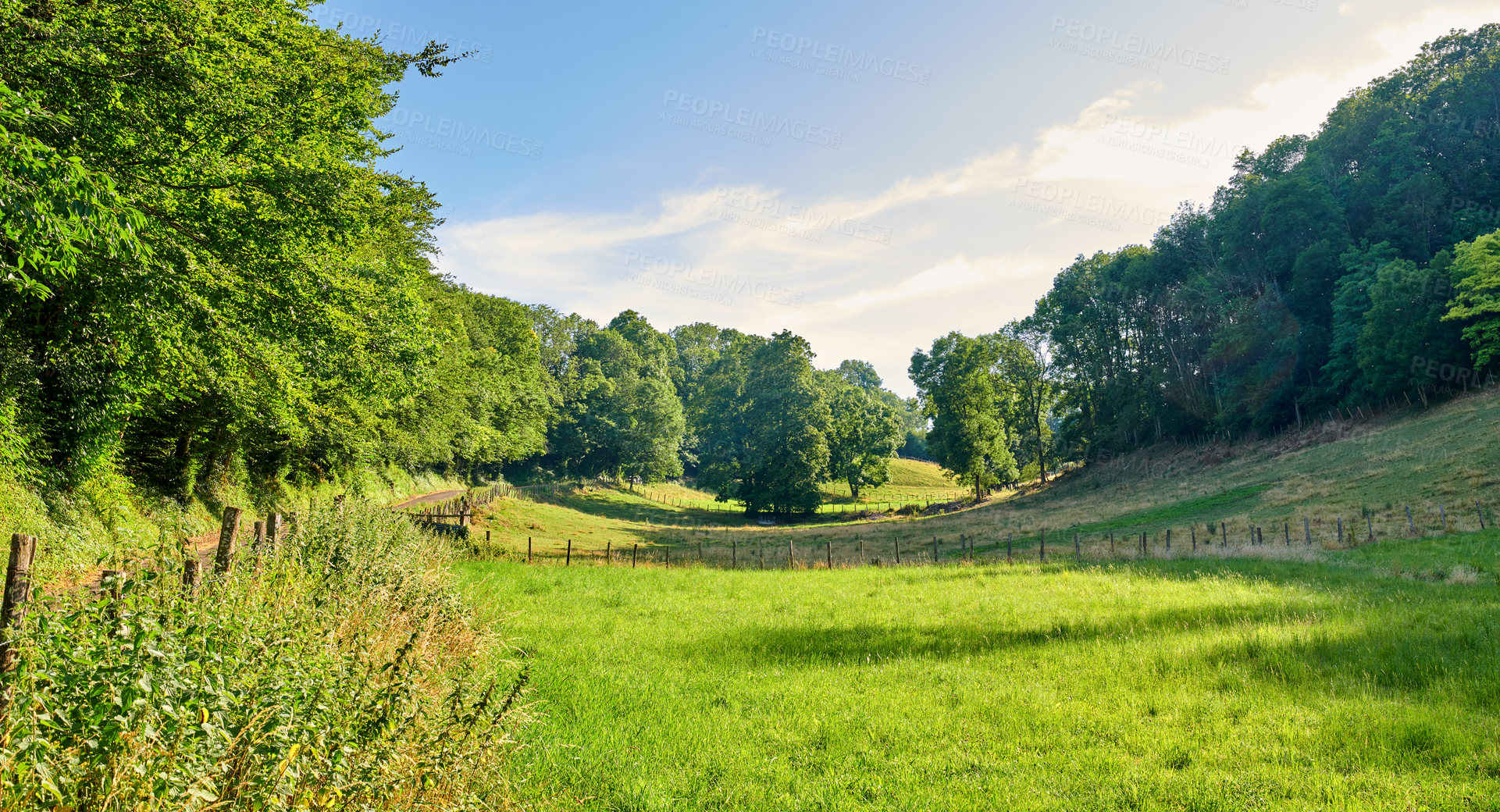 Buy stock photo Copyspace and scenic landscape of grassy meadows and forest trees with a cloudy blue sky. Field with fence and beautiful greenery outdoors. View of remote grassland in the countryside in France