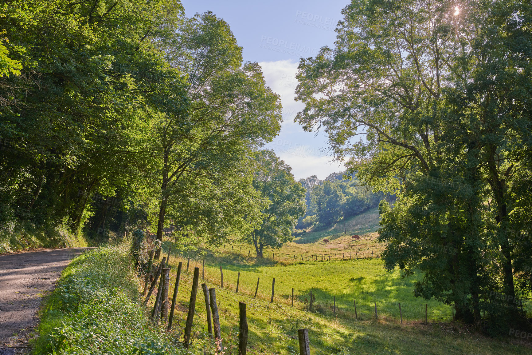 Buy stock photo Landscape view, countryside dirt road and path leading to agriculture fields or farm pasture in a remote area location. Scenery of quiet, lush green farming meadows and trees along a trail in France