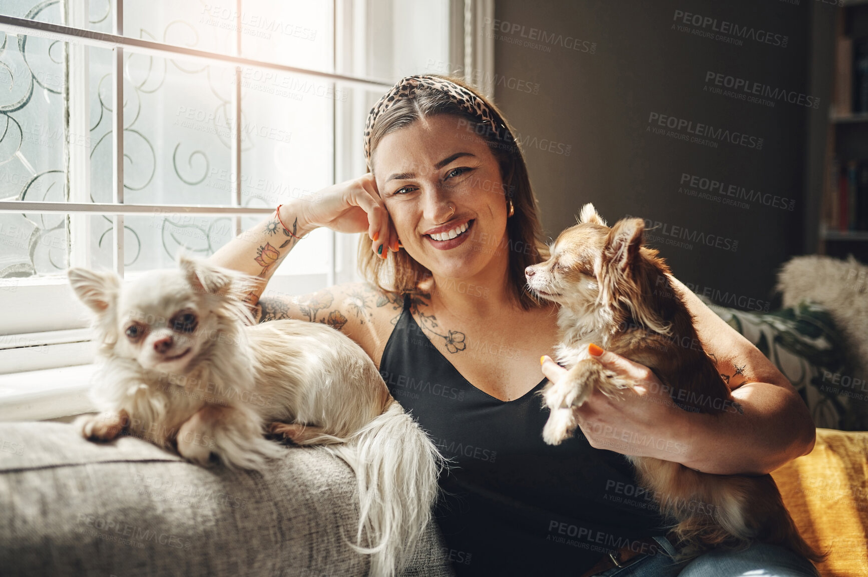 Buy stock photo Woman, home and dogs with portrait on living room sofa with relax, calm and break with pet and care. Love, happy and smile with animal, chihuahua and person together on the weekend with bonding