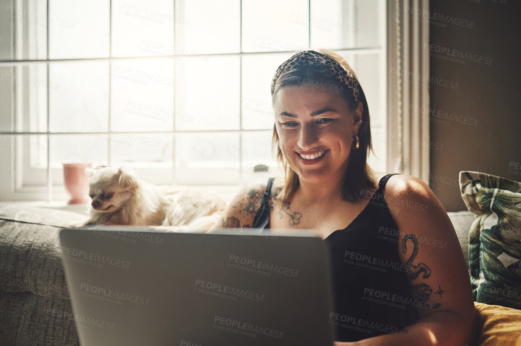 Buy stock photo Home, college student or happy woman reading on laptop for studying, online course or research. Project results, dog or girl with pet, chihuahua or education for knowledge, university or website news