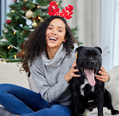 Buy stock photo Woman, portrait and dog in home on sofa for Christmas celebration or cozy festive season, holiday or animal. Female person, pet and staffie bull terrier with antler ears, happiness or accessories