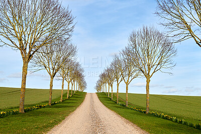 Buy stock photo Road, grass and blue sky in the rural countryside with greenery and leafless trees during autumn season. Beautiful landscape of a path or route near land covered by grass for peaceful travel