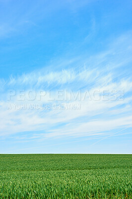 Buy stock photo Farmland in springtime