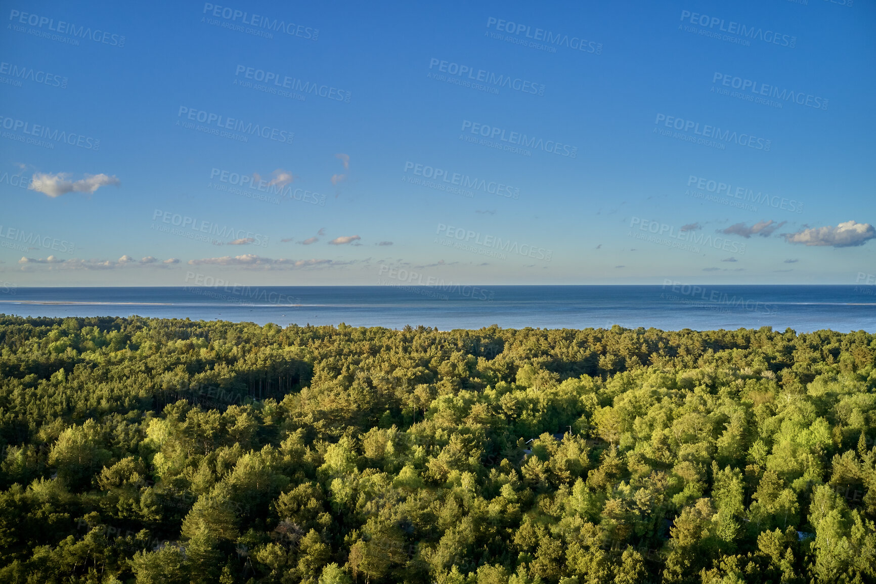 Buy stock photo A photo of green and lush forest in springtime by the sea of Kattegat, Denmark