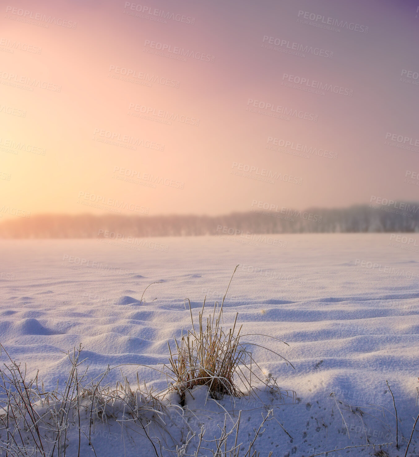 Buy stock photo A photo of a winter landscape at sunset