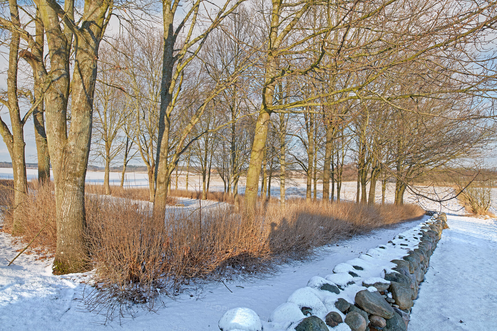 Buy stock photo A photo of winter landscape