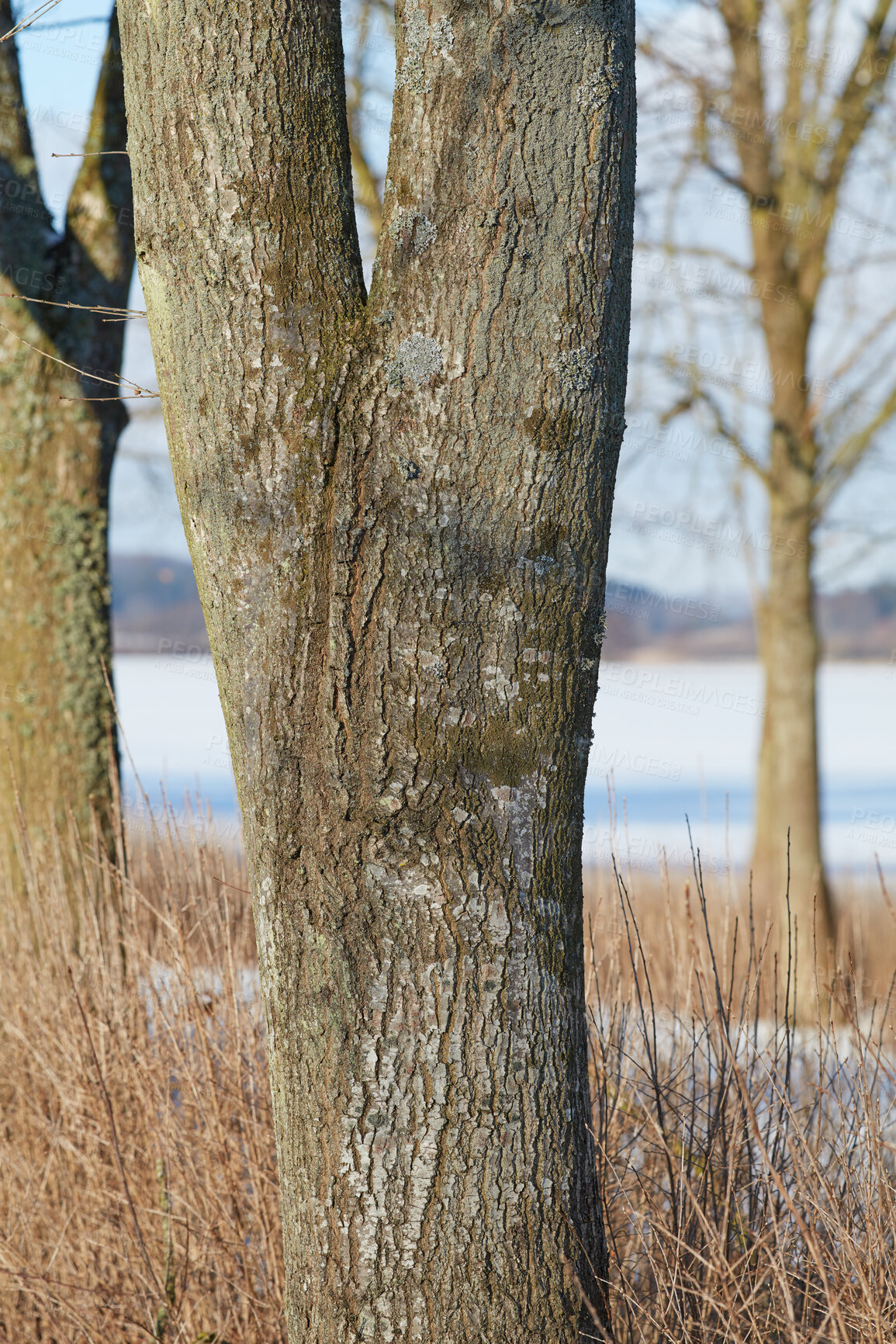 Buy stock photo A photo of winter landscape