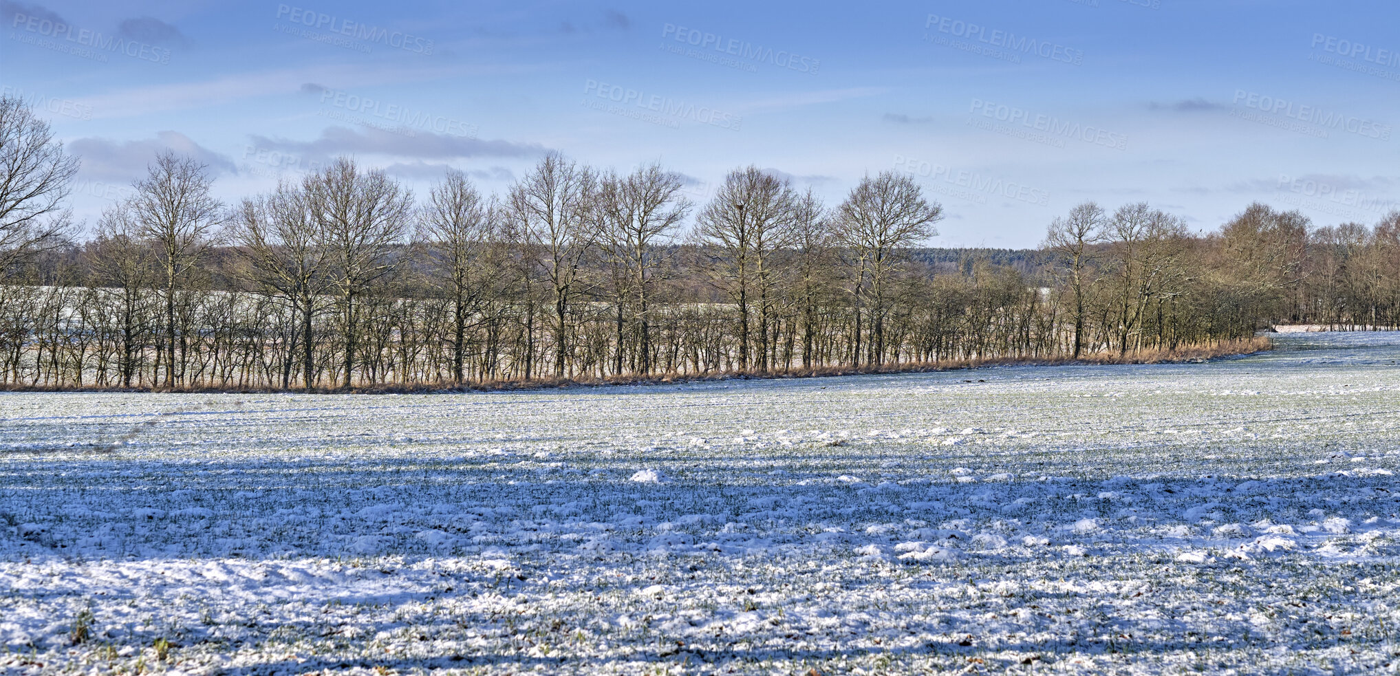 Buy stock photo A photo of a winter landscape at sunset