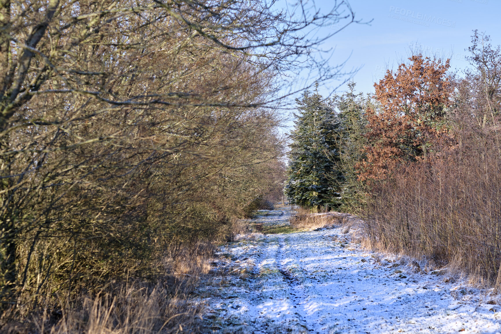 Buy stock photo A photo of a winter landscape at sunset