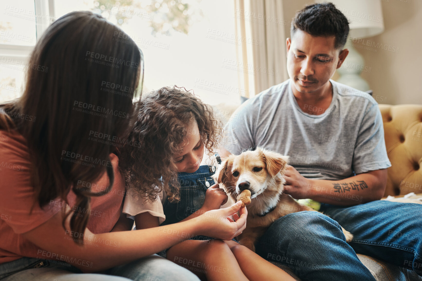 Buy stock photo Shot of a young family sitting on the sofa at home and bonding with their dog
